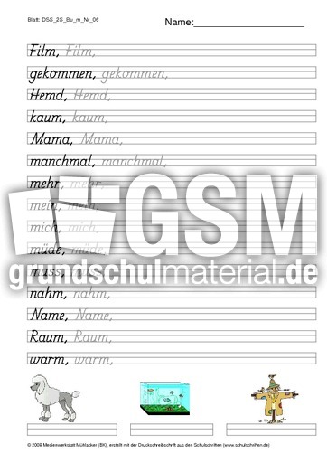 DSS_2S_Bu_m_Nr_06.pdf